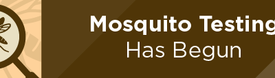 Mosquito Testing Has Begun