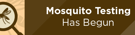 Mosquito Testing Has Begun  