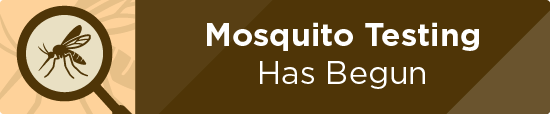 Mosquito Testing Has Begun  