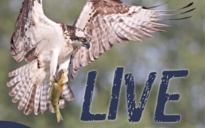 Blackland Prairie Raptors LIVE Tomorrow 
