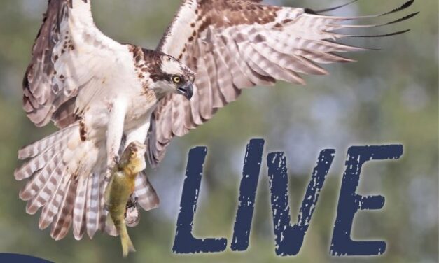 Blackland Prairie Raptors LIVE Tomorrow 