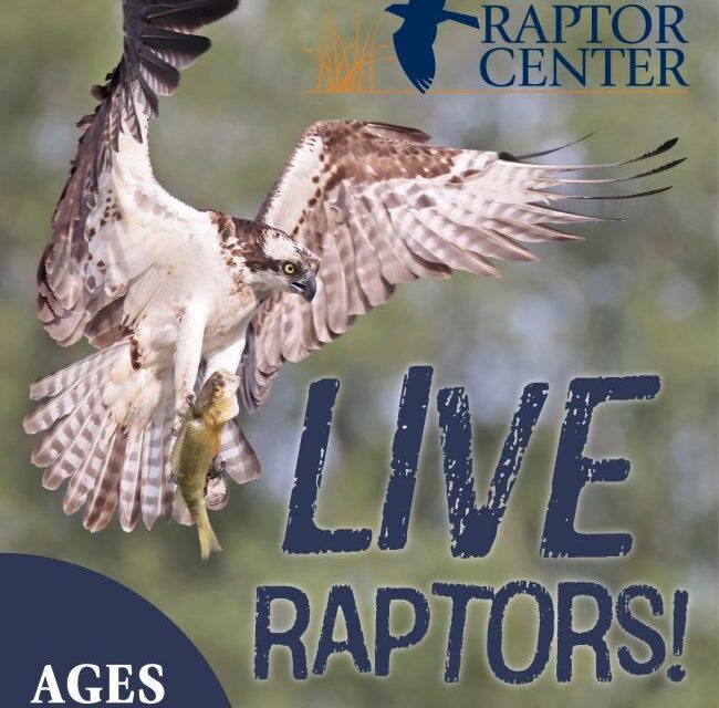 Blackland Prairie Raptors LIVE Tomorrow 