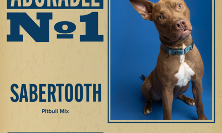 Pet of the Week