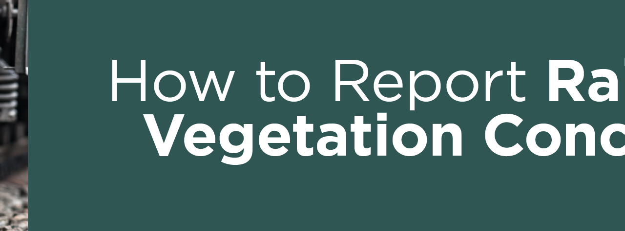 How to Report Railroad Vegetation Concerns
