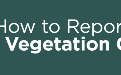 How to Report Railroad Vegetation Concerns