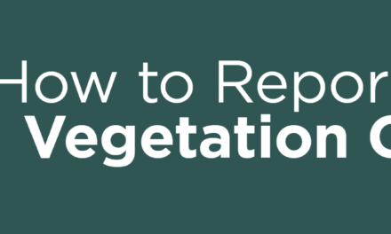 How to Report Railroad Vegetation Concerns