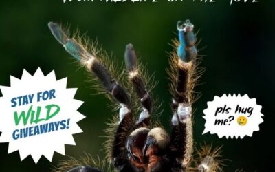 At the Library: The “Unhuggables” from Wildlife on the Move
