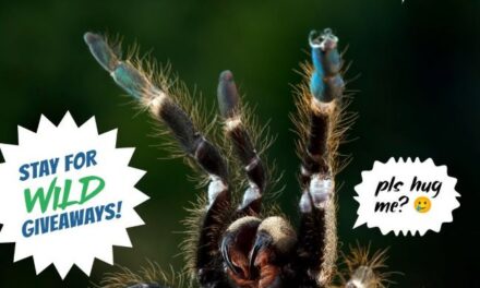 At the Library: The “Unhuggables” from Wildlife on the Move