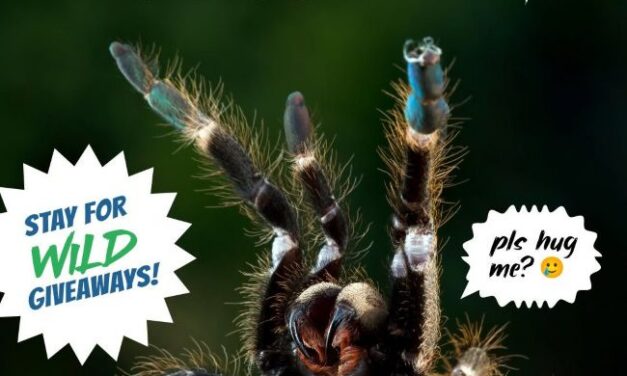 At the Library: The “Unhuggables” from Wildlife on the Move
