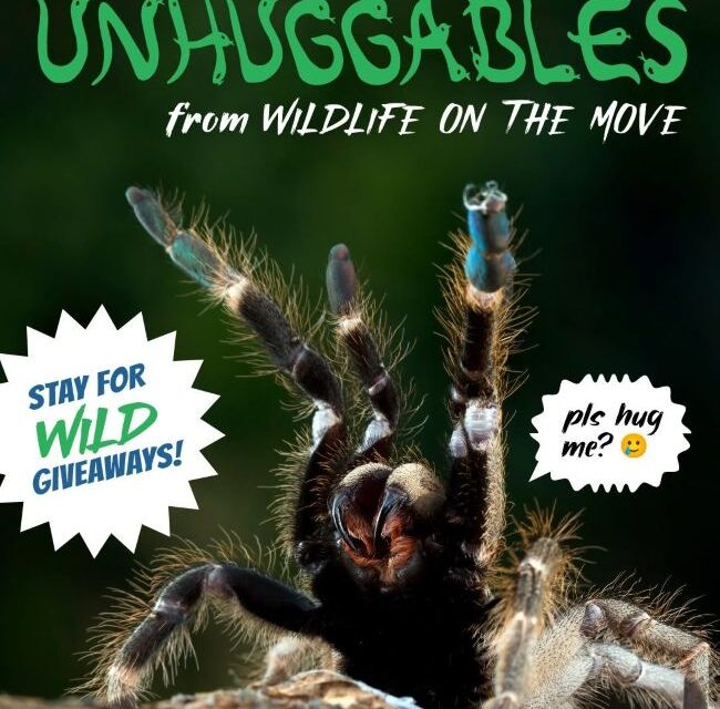 At the Library: The “Unhuggables” from Wildlife on the Move