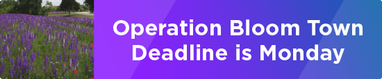 “Operation Bloomtown” Deadline is Monday 