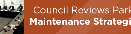 Council Reviews Parks Maintenance Strategies  