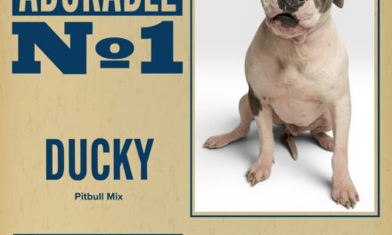 Pet of the Week