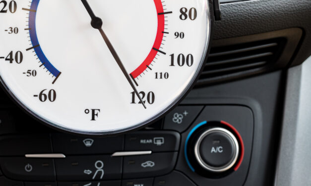 Heatstroke in Hot Cars: Preventing It