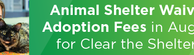 Animal Shelter Waives Adoption Fees in August for Clear the Shelters