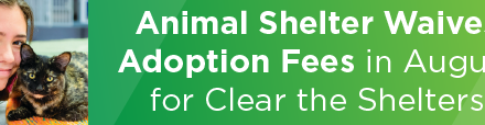 Animal Shelter Waives Adoption Fees in August for Clear the Shelters