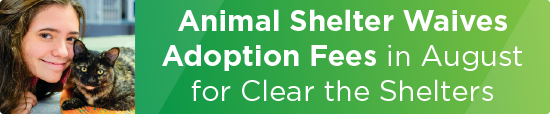 Animal Shelter Waives Adoption Fees in August for Clear the Shelters