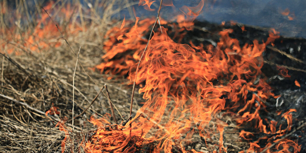 Hot, Dry and Windy Conditions Lead to High Risk of Fires