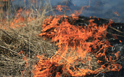 Hot, Dry and Windy Conditions Lead to High Risk of Fires