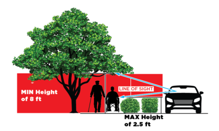 With School Back in Session, Make Sure Landscaping is Trimmed for Everyone’s Safety
