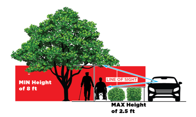 With School Back in Session, Make Sure Landscaping is Trimmed for Everyone’s Safety