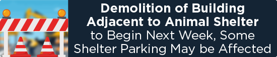 Demolition of Building Adjacent to Animal Shelter to Begin Next Week, Some Shelter Parking May be Affected