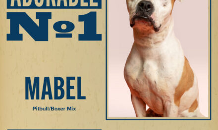 Pet of the Week