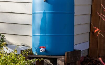Rainwater Harvesting Workshop Nov. 6