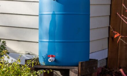 Rainwater Harvesting Workshop Nov. 6