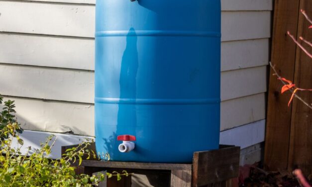 Rainwater Harvesting Workshop Nov. 6