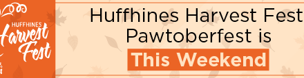 Huffhines Harvest Fest, Pawtoberfest is this Weekend   